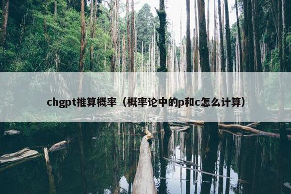 chgpt推算概率（概率论中的p和c怎么计算）