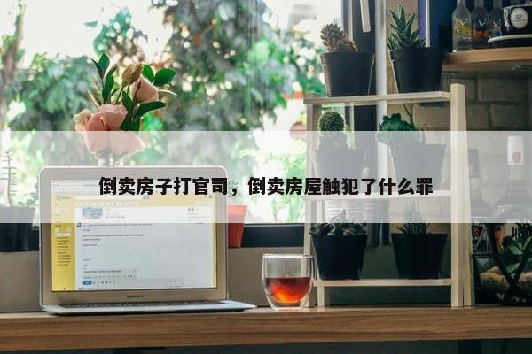 倒卖房子打官司，倒卖房屋触犯了什么罪