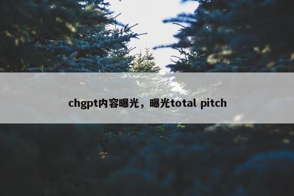 chgpt内容曝光，曝光total pitch