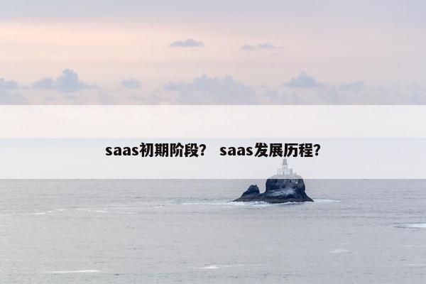saas初期阶段？ saas发展历程？