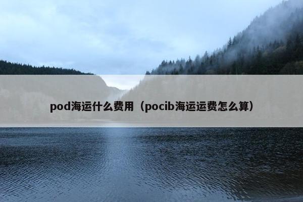 pod海运什么费用（pocib海运运费怎么算）