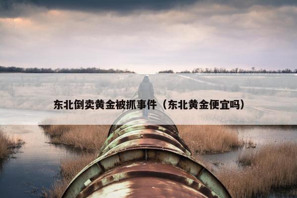东北倒卖黄金被抓事件（东北黄金便宜吗）