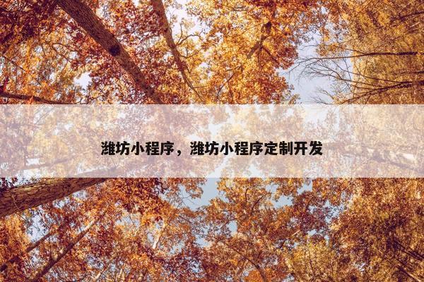 潍坊小程序，潍坊小程序定制开发
