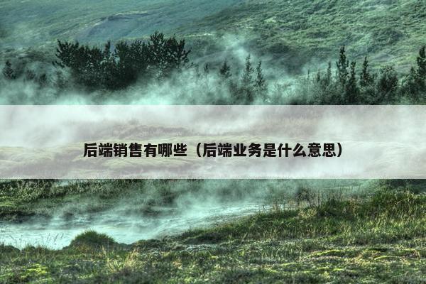 后端销售有哪些（后端业务是什么意思）