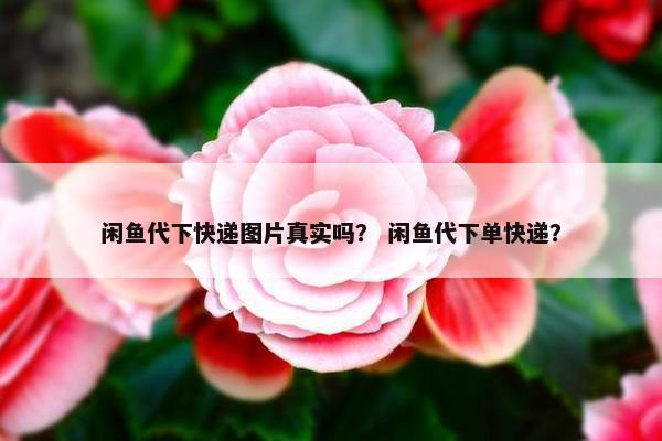 闲鱼代下快递图片真实吗？ 闲鱼代下单快递？