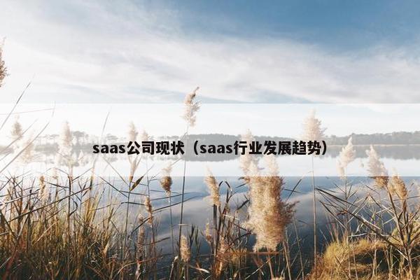 saas公司现状（saas行业发展趋势）