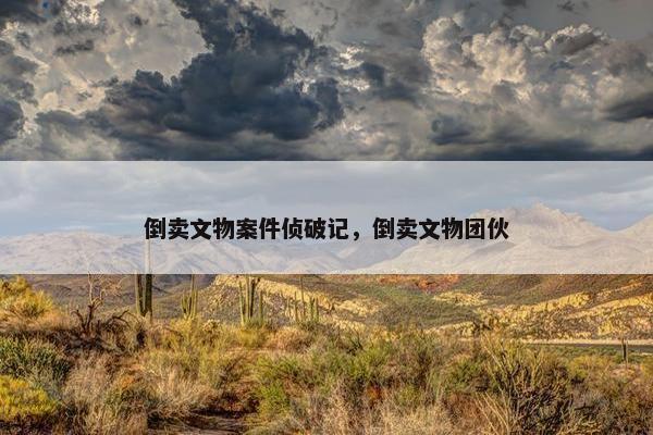 倒卖文物案件侦破记，倒卖文物团伙