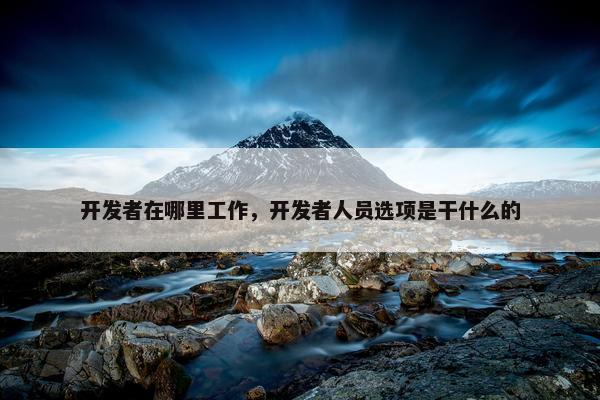 开发者在哪里工作，开发者人员选项是干什么的