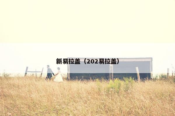 新易拉盖（202易拉盖）
