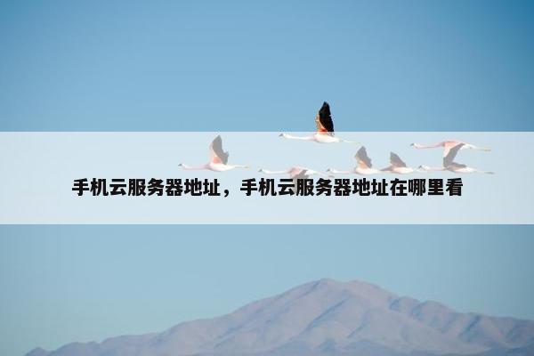 手机云服务器地址，手机云服务器地址在哪里看