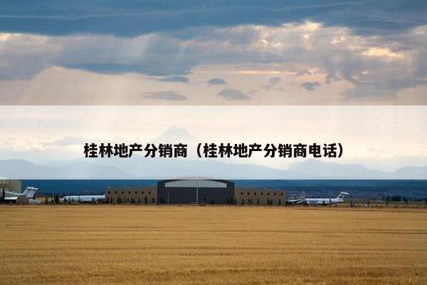 桂林地产分销商（桂林地产分销商电话）