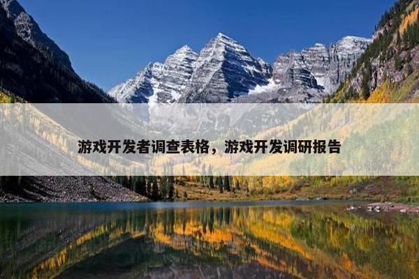游戏开发者调查表格，游戏开发调研报告