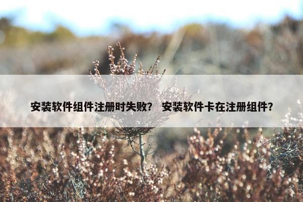 安装软件组件注册时失败？ 安装软件卡在注册组件？