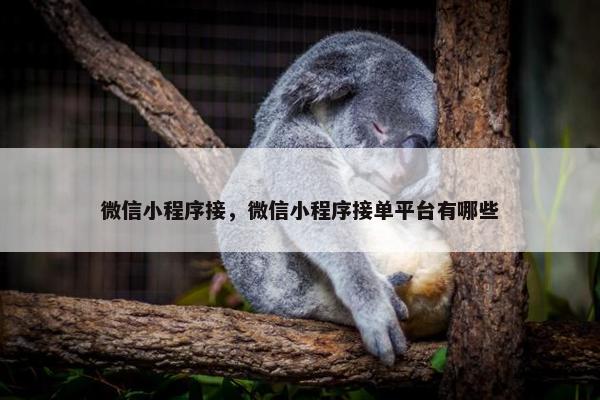 微信小程序接，微信小程序接单平台有哪些