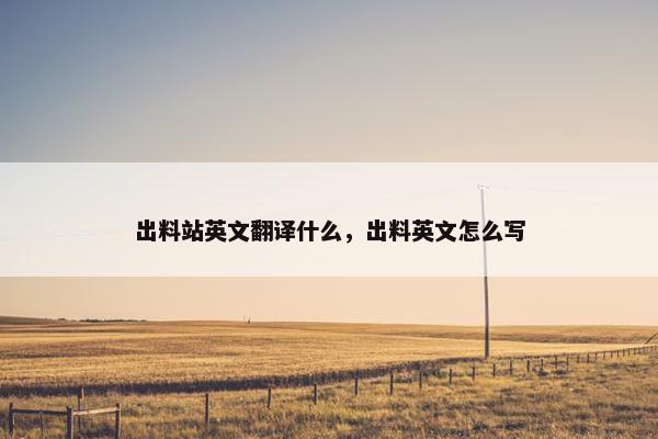 出料站英文翻译什么，出料英文怎么写