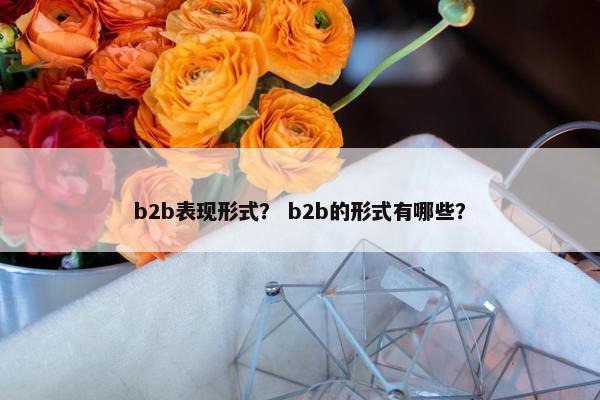 b2b表现形式？ b2b的形式有哪些？
