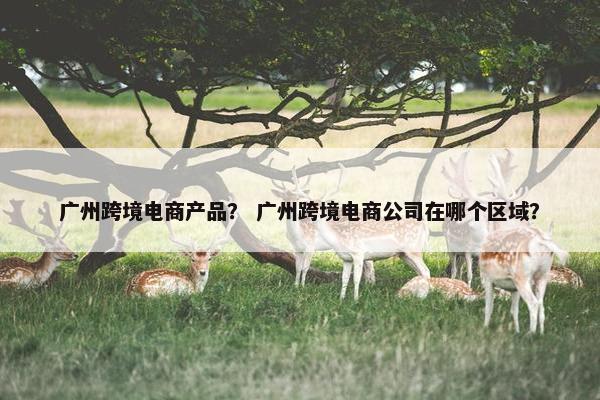 广州跨境电商产品？ 广州跨境电商公司在哪个区域？