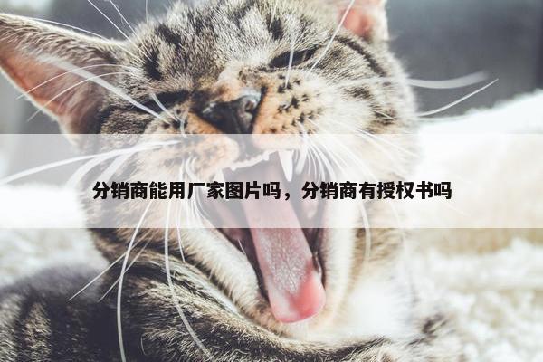 分销商能用厂家图片吗，分销商有授权书吗