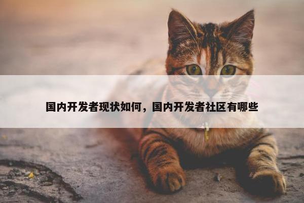 国内开发者现状如何，国内开发者社区有哪些