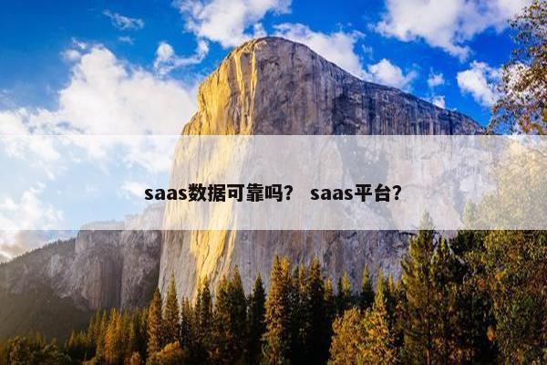 saas数据可靠吗？ saas平台？