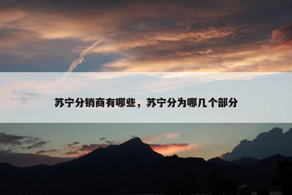 苏宁分销商有哪些，苏宁分为哪几个部分