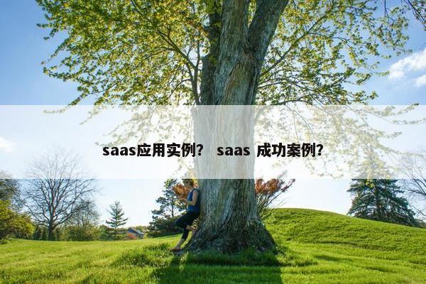 saas应用实例？ saas 成功案例？