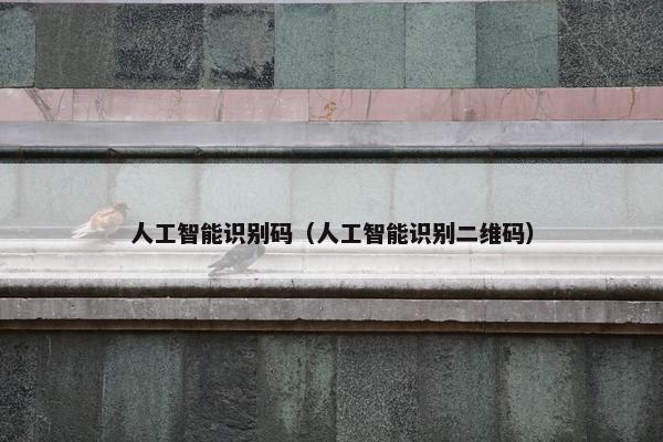 人工智能识别码（人工智能识别二维码）
