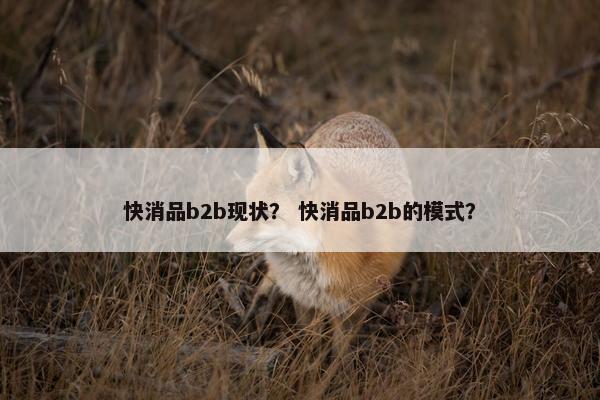 快消品b2b现状？ 快消品b2b的模式？