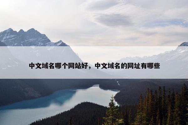 中文域名哪个网站好，中文域名的网址有哪些