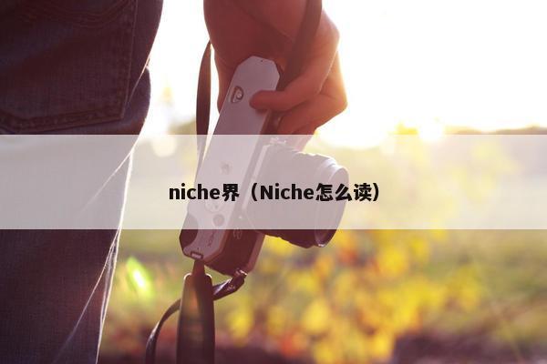 niche界（Niche怎么读）