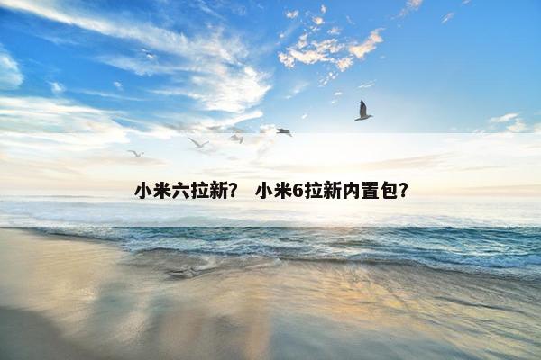 小米六拉新？ 小米6拉新内置包？