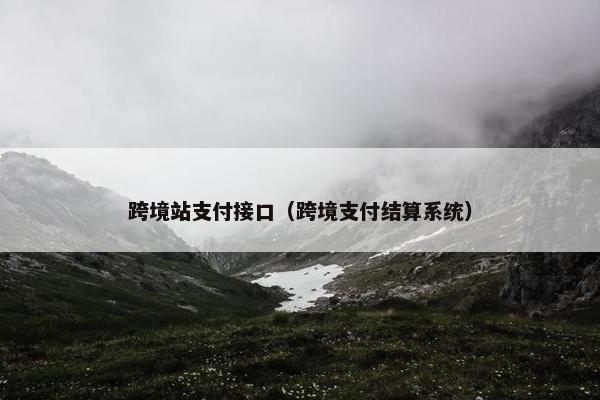 跨境站支付接口（跨境支付结算系统）
