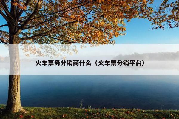 火车票务分销商什么（火车票分销平台）