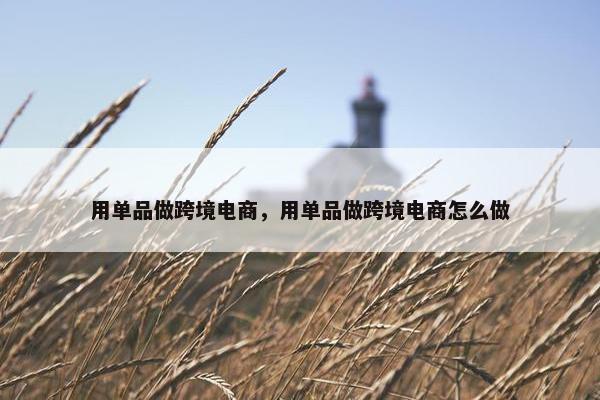 用单品做跨境电商，用单品做跨境电商怎么做