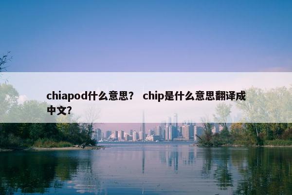 chiapod什么意思？ chip是什么意思翻译成中文？