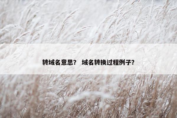 转域名意思？ 域名转换过程例子？