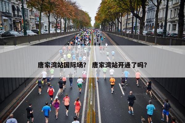 唐家湾站国际场？ 唐家湾站开通了吗？