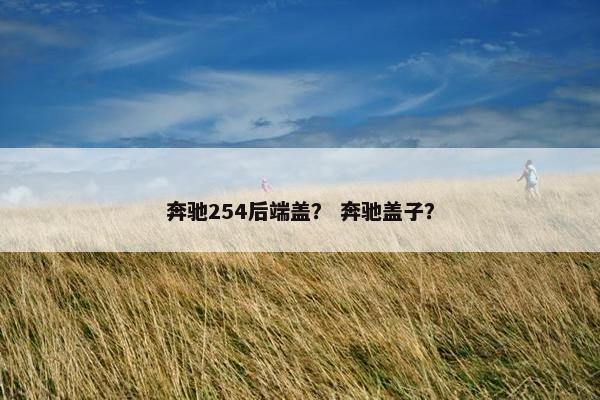 奔驰254后端盖？ 奔驰盖子？