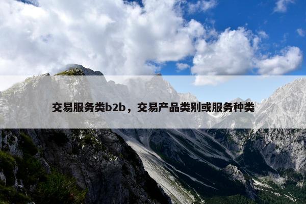 交易服务类b2b，交易产品类别或服务种类