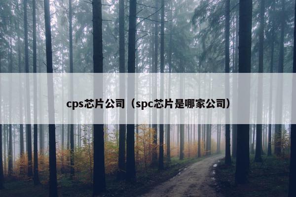 cps芯片公司（spc芯片是哪家公司）