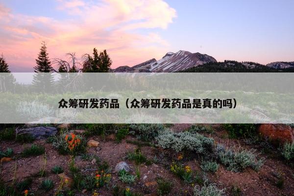 众筹研发药品（众筹研发药品是真的吗）