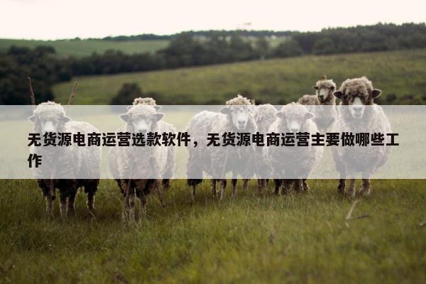 无货源电商运营选款软件，无货源电商运营主要做哪些工作